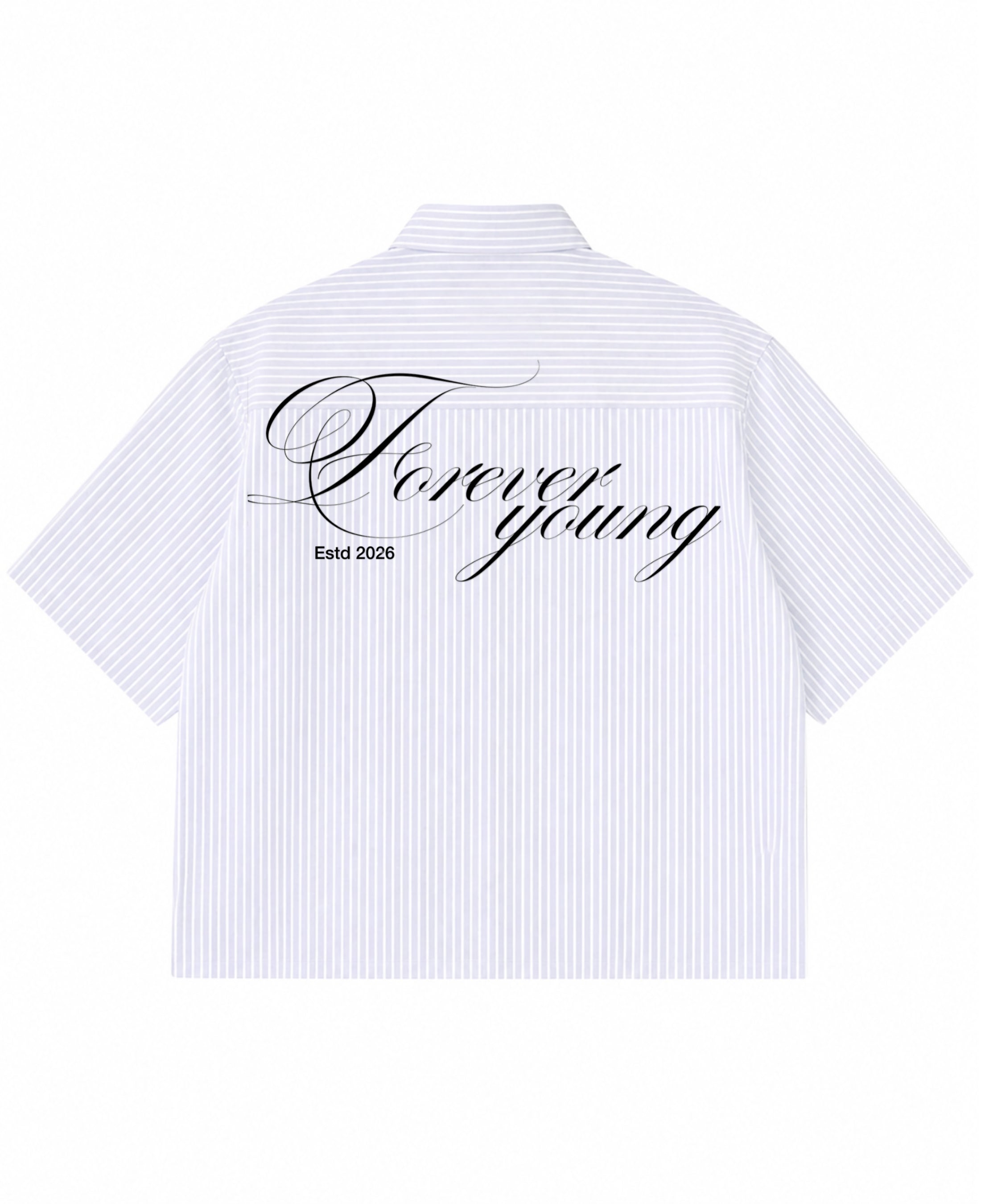 Blue Striped Oxford Boxy Shirt Back Design