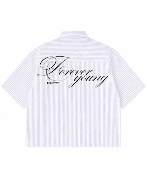 Blue Striped Oxford Boxy Shirt Back Design